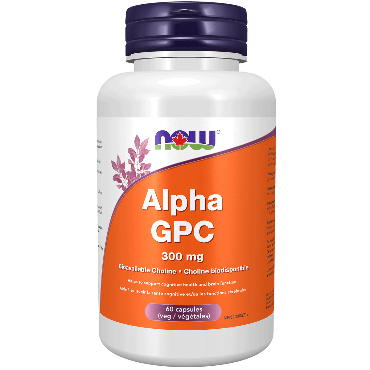 NOW Alpha GPC 300mg 60 Caps — Popeyes Supplements Saskatoon